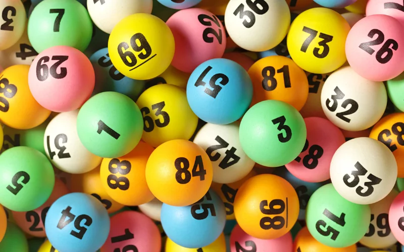 nagaland lottery result